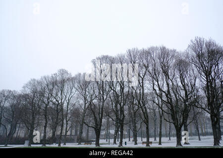 Vista la coperta di neve parco del Cinquantenario a Bruxelles, in Belgio il 22 gennaio 2019. Foto Stock