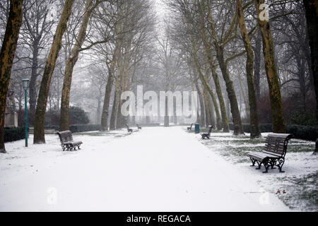 Vista la coperta di neve parco del Cinquantenario a Bruxelles, in Belgio il 22 gennaio 2019. Foto Stock