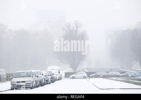 Vista la coperta di neve parco del Cinquantenario a Bruxelles, in Belgio il 22 gennaio 2019. Foto Stock