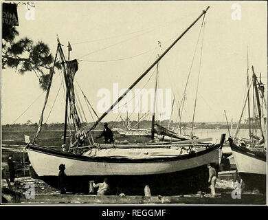 . Le spugne commerciali e il settore della pesca in spugna. Spugne. Fig. 1.-barca Diving, con catture indurito. Mostra del subacqueo triced scaletta fino.. Fig. 2.-barca Diving tirata fuori.. Si prega di notare che queste immagini vengono estratte dalla pagina sottoposta a scansione di immagini che possono essere state migliorate digitalmente per la leggibilità - Colorazione e aspetto di queste illustrazioni potrebbero non perfettamente assomigliano al lavoro originale. [Moore, Henry Frank], 1867- [dal vecchio catalogo]. Washington, Govt. stampa. off. Foto Stock