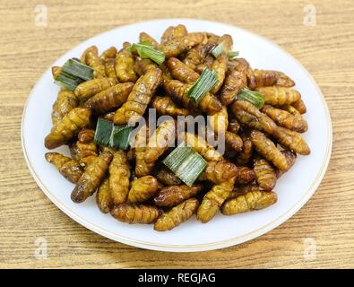 La cucina e il cibo tailandese tradizionale profondo fritto marinato vermi di noce di cocco con erbe su un piatto bianco. Uno dei più popolari street food in Thailandia. Foto Stock