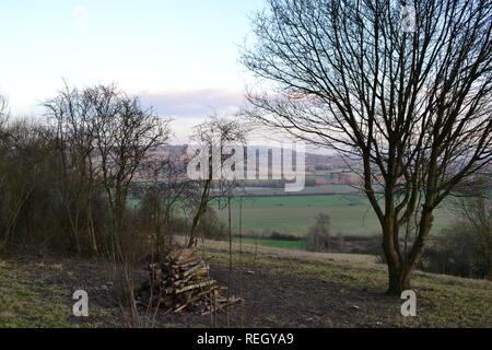 Vista dalla Banca Polhill, Kent, in inverno guardando verso sud-est verso Otford, Kemsing, guarnizione, attraverso la testa della valle Darent. Gli alberi sono in del pilota di legno Foto Stock