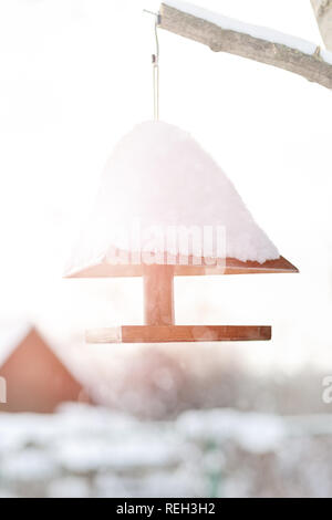 Bird Feeder appeso su un albero in inverno Foto Stock