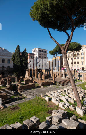 Europa Italia Roma Largo di Torre Argentina Home del gatto Santuario e rovine romane Foto Stock