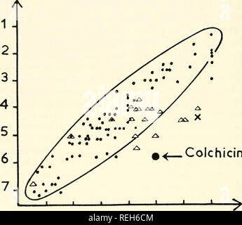 . Colchicine in agricoltura, medicina, biologia e chimica. Colchicine; colchicina. 404 colchicina reattività chimica. Dopo aver studiato queste semplici mandrino veleni, alcune altre sostanze che agiscono come colchicina, o quelli con una complessa mole- cular struttura verrà esaminato brevemente. Le proprietà della colchicina verranno poi confrontati con quelli di altri veleni. 1J.4-1: derivati della colchicina. Questi sono stati studiati da tre punti di vista: la loro tossicità, della loro attività antimitotica, C O u o o £  o c "" .0 '** u - o O - o ji - "o. La colchicina -.7 -6 .5  4 .3 .2 .1  0 Solubilità(l Foto Stock