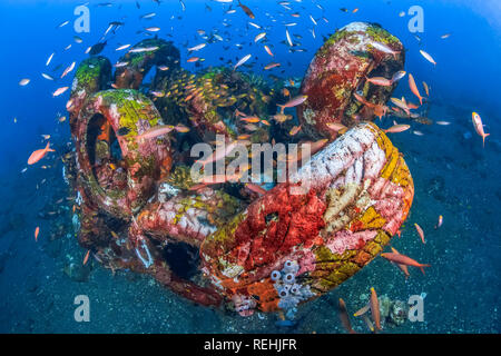 Artificail reef, fatta di pneumatici usati, Coral Garden, Tulamben, Bali, Indonesia, Oceano Pacifico Foto Stock