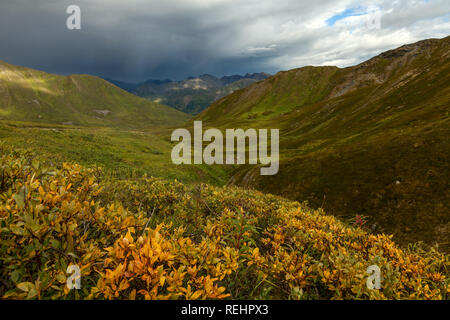 Una tempesta si avvicina oltre la tundra alpina di Alaska's Hatcher Pass. Foto Stock