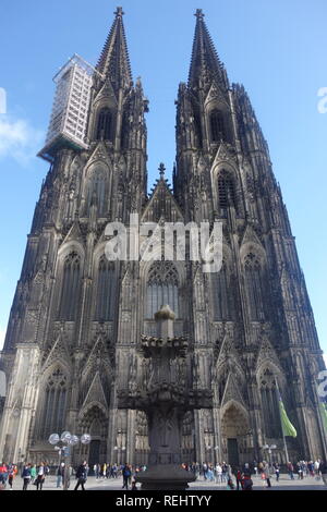 La facciata della Cattedrale di Colonia, la più grande facciata di ogni chiesa nel mondo. Ponteggio adorna la torre di sinistra. Foto Stock