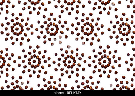 Una raccolta di nocciole si trovano nella forma di un cerchio o sun isolato su un fondo bianco con un tracciato di ritaglio. Modello di nocciole Foto Stock