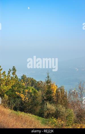 Vari alberi sulle colline del Montefeltro, nella regione Marche, in Italia, tra Pesaro e Urbino. La luna appare nel cielo Foto Stock