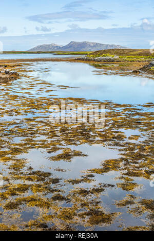 Seascape scozzesi con alghe marine e montagne, North Uist, Ebridi Esterne, Scotland, Regno Unito Foto Stock