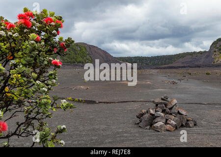 Il Kilauea Iki cratere nel Parco Nazionale dei Vulcani sulla Big Island delle Hawaii, STATI UNITI D'AMERICA Foto Stock