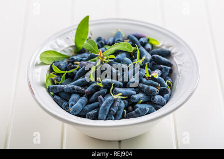 Delizioso e sano honeyberry (lonicera) nel recipiente Foto Stock