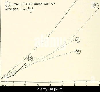 . Colchicine in agricoltura, medicina, biologia e chimica. Colchicine; colchicina. 218 colchicina trollo animali dimostrano che non, per si vede che tra il trentesimo e il trentacinquesimo ore dopo la iniezione di ormone l'indice mitotico aumenta bruscamente. Se la colchicina è stato iniettato a trenta-prima ora, un aumento mitotica da 2,92 a 108.60 sarebbe stato osservato, e questo non può essere spiegato con la teoria di meta- arresto di fase. Questo aumento è tuttavia non solo il risultato di X mitotica 35 indice mitotico ^C'2 durata calcolata di mitosi = A = '^-^. x30 x2 Foto Stock