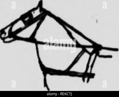 . Cavallo moderno management [microformati]. Cavalli; cavalli; Chevaux; Chevaux. Fiir.. Si prega di notare che queste immagini vengono estratte dalla pagina sottoposta a scansione di immagini che possono essere state migliorate digitalmente per la leggibilità - Colorazione e aspetto di queste illustrazioni potrebbero non perfettamente assomigliano al lavoro originale. Timmis, Reginald S. (Reginald Symonds), 1884-1968. London ; Toronto : Cassell Foto Stock