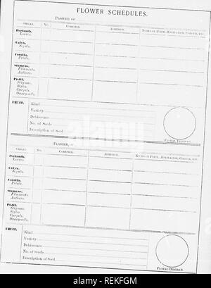 . Alta Scuola di botanica note book [microformati]. La botanica; Botanique. . Si prega di notare che queste immagini vengono estratte dalla pagina sottoposta a scansione di immagini che possono essere state migliorate digitalmente per la leggibilità - Colorazione e aspetto di queste illustrazioni potrebbero non perfettamente assomigliano al lavoro originale. Spotton, H. B. (Henry Byron), 1844-1933. Toronto : W. J. Gage Foto Stock