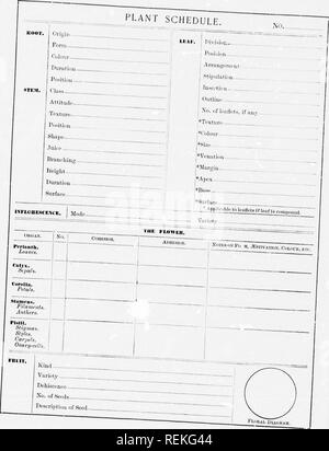. Alta Scuola di botanica note book [microformati]. La botanica; Botanique. fj. ;".". Si prega di notare che queste immagini vengono estratte dalla pagina sottoposta a scansione di immagini che possono essere state migliorate digitalmente per la leggibilità - Colorazione e aspetto di queste illustrazioni potrebbero non perfettamente assomigliano al lavoro originale. Spotton, H. B. (Henry Byron), 1844-1933. Toronto : W. J. Gage Foto Stock