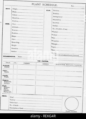 . Alta Scuola di botanica note book [microformati]. La botanica; Botanique. ;!: M. Si prega di notare che queste immagini vengono estratte dalla pagina sottoposta a scansione di immagini che possono essere state migliorate digitalmente per la leggibilità - Colorazione e aspetto di queste illustrazioni potrebbero non perfettamente assomigliano al lavoro originale. Spotton, H. B. (Henry Byron), 1844-1933. Toronto : W. J. Gage Foto Stock