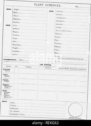 . Alta Scuola di botanica note book [microformati]. La botanica; Botanique. iris. Si prega di notare che queste immagini vengono estratte dalla pagina sottoposta a scansione di immagini che possono essere state migliorate digitalmente per la leggibilità - Colorazione e aspetto di queste illustrazioni potrebbero non perfettamente assomigliano al lavoro originale. Spotton, H. B. (Henry Byron), 1844-1933. Toronto : W. J. Gage Foto Stock