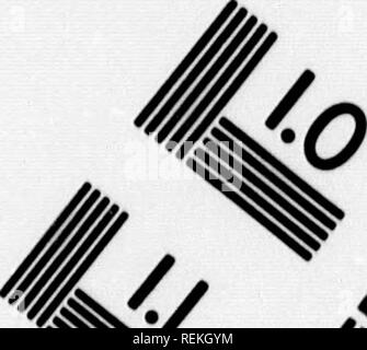 . Relazione sul pesce-operazioni di allevamento nel dominio del Canada, 1890 [microformati]. Cultura di pesce; Pesci; piscicoltura; Poissons. Valutazione di immagine il bersaglio di test (MT-3). " 4t^-. Si prega di notare che queste immagini vengono estratte dalla pagina sottoposta a scansione di immagini che possono essere state migliorate digitalmente per la leggibilità - Colorazione e aspetto di queste illustrazioni potrebbero non perfettamente assomigliano al lavoro originale. Ottawa : B. Chamberlin Foto Stock