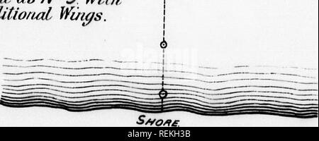 . Relazione sul pesce-operazioni di allevamento nel dominio del Canada, 1890 [microformati]. Cultura di pesce; Pesci; piscicoltura; Poissons. A/dieci lungo ^^jMiraniichL ha.spvera/ 'uiull Mpa Iseaivlii wliick ^ely N94. Scune un N°3 con adtiUioruJii Wi/mi^s.. Si prega di notare che queste immagini vengono estratte dalla pagina sottoposta a scansione di immagini che possono essere state migliorate digitalmente per la leggibilità - Colorazione e aspetto di queste illustrazioni potrebbero non perfettamente assomigliano al lavoro originale. Ottawa : B. Chamberlin Foto Stock