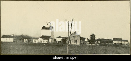 . La Contea di argilla. L'agricoltura. 48 contea di argilla illustrato. Vista generale degli edifici su E. D. Grant Farm Barn sotto la costruzione e i cinque Operai sul tetto guarda come mosche su un vetro di finestra. A prua- massa dell'immagine sono tre dei bovini giovani. Eugene D. Grant è uno dei pro- gressive gli agricoltori della contea di argilla, che si trova sempre a lavorare nella fila anteriore in tutte le cose lungo la linea di sviluppo agricolo. Il sig. Grant è nato nel Michigan ed è venuto a Minnesota con i suoi genitori nel 1877. Si trova a Duluth e quattro anni più tardi si trasferì a Clay County. Nel 1893 il sig. Grant Foto Stock