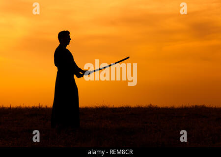 Silhouette di Kendo fighter holding bokuto Foto Stock