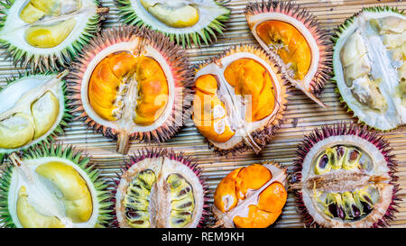 Differenti varietà di frutta Durian che può essere trovato nel Borneo, Indonesia.; D. conatus, Durio kutejensis, Durio zibethinus, Durio oxleyanus, Durio dulc Foto Stock