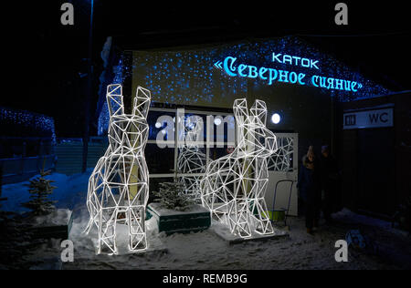 Mosca, Russia - 02 Gennaio 2019: ingresso al nuovo anello di pattinaggio nel quartiere Medvedkovo di notte. Due LED luce lepri collocato all'esterno. Foto Stock