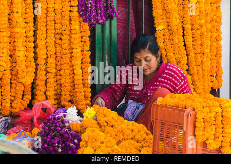 Donna locale di vendita fiori di tagete (sayapatri) durante Tihar è, Kathmandu, Nepal Foto Stock