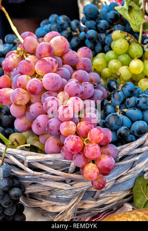 Bianco, uve nere e rosse in un cesto; Foto Stock