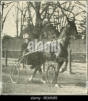 . Il club Guida di Greater Boston ... Horse Racing; cavalli. . Si prega di notare che queste immagini vengono estratte dalla pagina sottoposta a scansione di immagini che possono essere state migliorate digitalmente per la leggibilità - Colorazione e aspetto di queste illustrazioni potrebbero non perfettamente assomigliano al lavoro originale. Linnehan, John William, 1860-, ed; Cogswell, Edward Everett, 1864-, joint ed. [Boston, premere di Atlantic Stampa l'azienda] Foto Stock