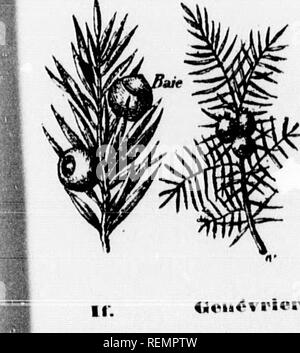 . Leçons de choses [microforme] : 4e, 5e, 6e année. Sciences Naturelles; scienze; Storia Naturale; scienza. . Si prega di notare che queste immagini vengono estratte dalla pagina sottoposta a scansione di immagini che possono essere state migliorate digitalmente per la leggibilità - Colorazione e aspetto di queste illustrazioni potrebbero non perfettamente assomigliano al lavoro originale. Soeurs de Sainte-Anne. [Lachine, Québec : s. n. ] Foto Stock