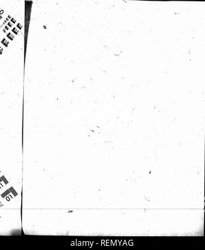 . La standardizzazione del digitale e la potenza di American-cresciute digitalis [microformati]. Digitalis (droga); Materia medica, vegetali; Digitale; Phytothérapie. . Si prega di notare che queste immagini vengono estratte dalla pagina sottoposta a scansione di immagini che possono essere state migliorate digitalmente per la leggibilità - Colorazione e aspetto di queste illustrazioni potrebbero non perfettamente assomigliano al lavoro originale. Rowntree, Leonard G. (Leonard George), 1883-1959; Macht, D. I. (David I. ), 1882-1961. Chicago : American Medical Association Foto Stock