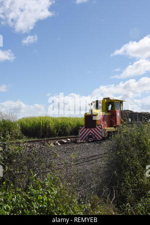 Treno canna da zucchero, Sarina, Queensland, Australia Foto Stock