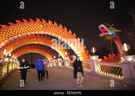 Xi'an, Cina. Xxi gen, 2019. Maiale lanterne a tema può essere visto a Xi'an Expo Garden a Xi'an, Cina nord-occidentale della provincia di Shaanxi, segnando il prossimo nuovo anno lunare. Credito: Sipa Asia/Pacific Press/Alamy Live News Foto Stock