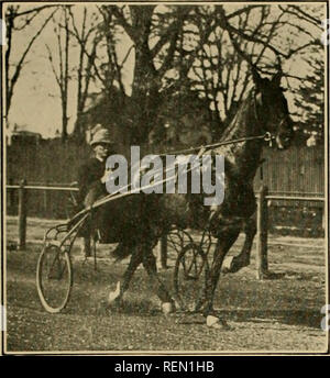 . Il club Guida di Greater Boston. Cavalli; Horse Racing -- Boston Massachusetts. . Si prega di notare che queste immagini vengono estratte dalla pagina sottoposta a scansione di immagini che possono essere state migliorate digitalmente per la leggibilità - Colorazione e aspetto di queste illustrazioni potrebbero non perfettamente assomigliano al lavoro originale. Linnehan, John William, b. 1860; Cogswell, Edward Everett, b. 1864. Boston, Massachusetts : Premere di Atlantic Stampa l'azienda Foto Stock