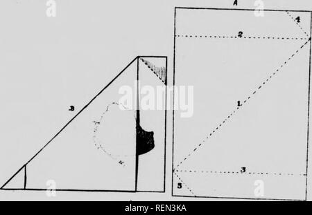 . Indicazioni per la raccolta e la conservazione di insetti [microformati]. Insectes; gli insetti. 1! Sul spedmens. Molto minute insetti diversi da tarme può essere abbastanza satis- factorily pranzo m piccole fiale o pillola scatole tra i batuffoli di cotone, dati riguardo- ing catturare bemg scritto su un piccolo pezzo di carta posto all'interno di r^epfade- "nÂ"n?r^"^"*^'''''l?j:i'?^Â°"'^^^' ?"'^ t^^ pesanti di grandi dimensioni corposo falene dovrebbe essere pap-rosso . Il cosiddetto "papers" di varie dimensioni possono essere effettuate in un tempo libero da moderatdy th.ck ungla^^ed carta, tagliati e piegati come mostrato nella acTom! Diagra panying Foto Stock