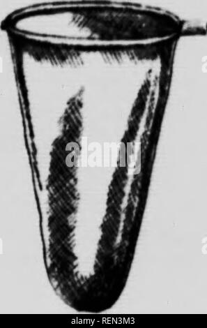 . Indicazioni per la raccolta e la conservazione di insetti [microformati]. Insectes; gli insetti. Indicazioni per la raccolta e la conservazione di insetti. Da J. H. McIHnnouoh, Dottorato di ricerca. In carica della raccolta nazionale di insetti. Introduzione. Il oliji ct di thiii circolare è di indicare come concihcly come powible alcuni inoBt funzioni essenziali in fnrection con il co"''-ting di insetti. Esso è destinato in gran parte ad un primo aiuto tt. Quelli ansiosi di apprendere i principi elementari di raccolta degli insetti in onler che hey può utilmente occupare i momenti che altrimenti potrebbero appendere pesante su eir mani. Essa mira inoltre Foto Stock