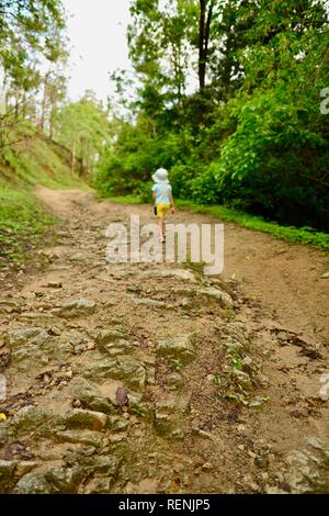 I bambini a piedi lungo una trazione a quattro ruote motrici via attraverso una foresta, Mia Mia la foresta di stato, Queensland, Australia Foto Stock