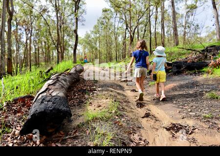 I bambini a piedi lungo una trazione a quattro ruote motrici via attraverso una foresta, Mia Mia la foresta di stato, Queensland, Australia Foto Stock