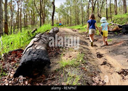 I bambini a piedi lungo una trazione a quattro ruote motrici via attraverso una foresta, Mia Mia la foresta di stato, Queensland, Australia Foto Stock