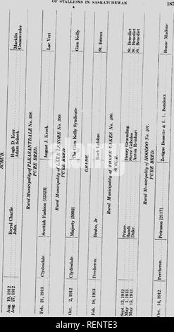 . Iscrizione e registrazione degli stalloni in Saskatchewan [microformati]. Cavalli; Chevaux; cavalli; Chevaux. . Si prega di notare che queste immagini vengono estratte dalla pagina sottoposta a scansione di immagini che possono essere state migliorate digitalmente per la leggibilità - Colorazione e aspetto di queste illustrazioni potrebbero non perfettamente assomigliano al lavoro originale. Windeatt, W. F. (William F. ); Saskatchewan. Dipartimento di Agricoltura. Regina : J. W. Reid Foto Stock