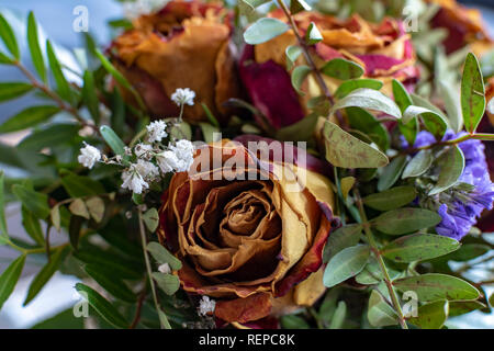 Close-up di un bouquet di rose essiccate e vari impianti complementari. Foto Stock