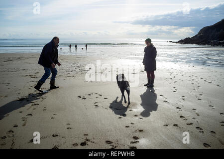 Cani e i loro proprietari sulle sabbie argentate di Wonwell Beach in inverno a bassa marea, South Hams, Devon, UK Foto Stock