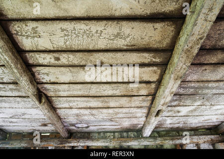 Bianco Sfumato il legno dipinto planked soffitto con tronco di albero travi all'interno di un vecchio fienile spiovente Foto Stock