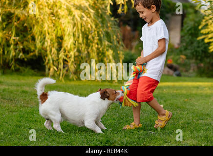 Felice di ridere kid ragazzo giocando con il suo cane tirando doggy corda di cotone toy Foto Stock