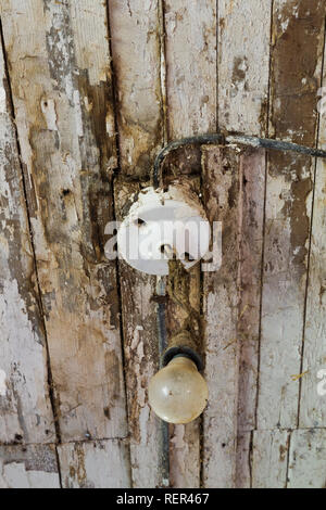 Close-up di dondolare lampadina sbiadito e verniciato bianco planked legno soffitto con macchie di acqua all'interno di un weathered vecchio fienile Foto Stock