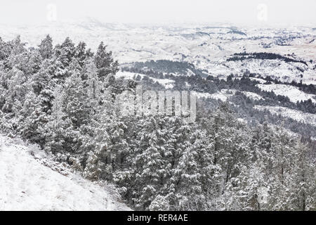 Winter landscape of snowy badlands and hills in Theodore Roosevelt National Park's South Unit, North Dakota, USA Foto Stock