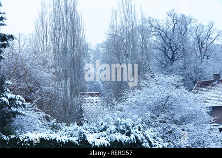 Londra, Regno Unito. Il 23 gennaio 2019. Alberi, arbusti e tetti coperti di neve in Mill Hill, Londra, Regno Unito, la mattina presto. Credito: Joe Kuis / Alamy Live News Foto Stock